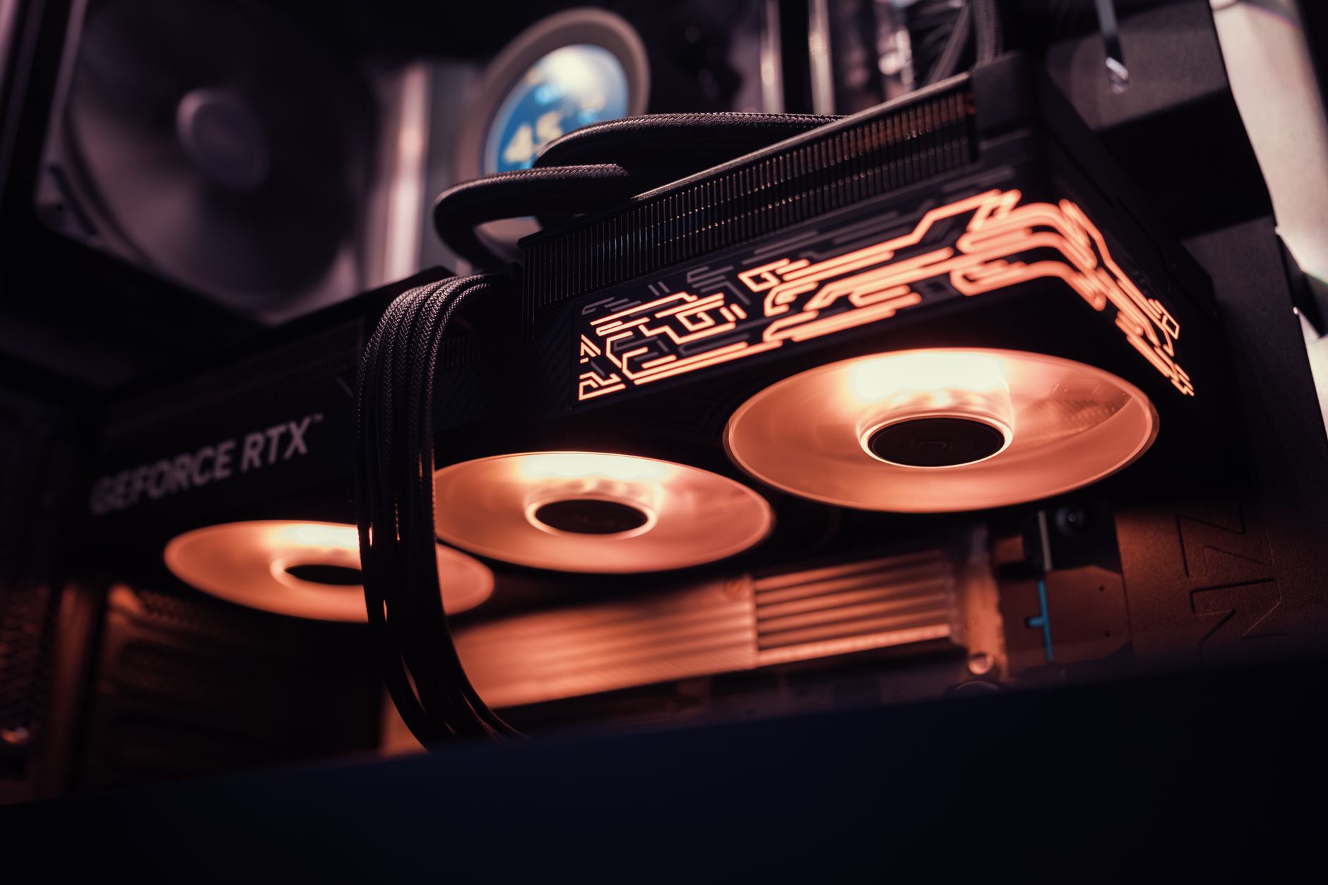 Three modern graphics cards on a tabletop.